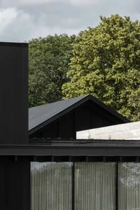 Modern black exterior house with wood siding and large glass windows.