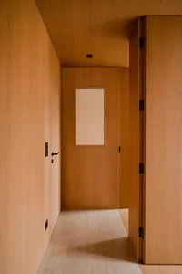 Modern minimalist interior with hardwood walls, minimal decor, and natural lighting.