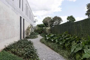 Concrete sidewalk lined with greenery and plants in an urban setting.