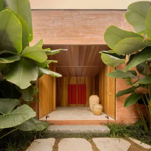 Modern minimalist entrance featuring wood and stone materials, with large plants flanking the doorway.
