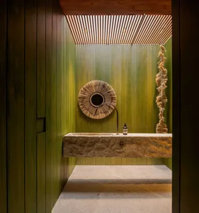 Modern bathroom with a concrete sink and green wooden walls.