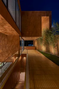 Modern house exterior featuring a board finish with wooden siding and green hedges.