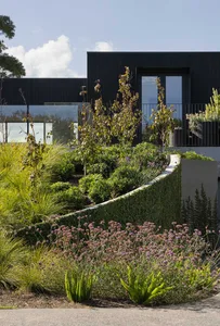 Modern residential garden with mixed media materials and lush greenery.
