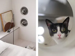 Modern, minimalist cat shelter integrated into a contemporary interior design setting.