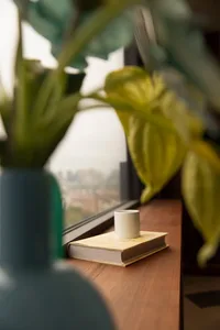 A book with a white cup on top sits on a window sill adorned with green leaves.