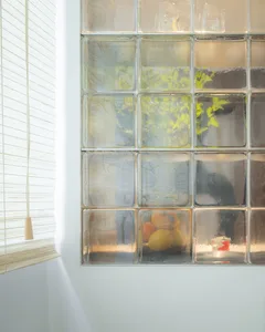 A glass block window with a view of greenery outside.