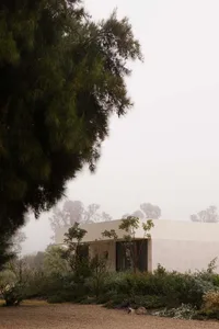 A minimalist residential building with concrete walls and large glass windows surrounded by greenery under a foggy sky.