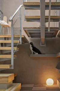 A modern interior space featuring wooden stairs with metal railings and a cat sitting on a built-in shelf.