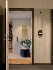 A minimalist entryway with neutral-toned materials and a small houseplant on a stool, viewed from outside the door.