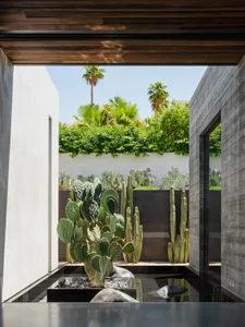 A modern concrete landscape with a water feature, cacti, and lush greenery.