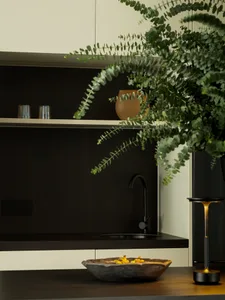 Modern minimalist kitchen featuring dark wood cabinets, a sleek faucet, and a potted green plant.