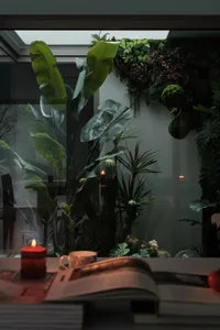 An elegant living space featuring a beautiful plant wall with various types of greenery and candles.