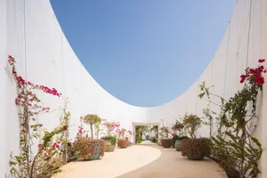 A minimalist garden with concrete pots and red and white flowers.