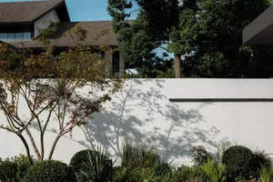 Concrete wall with shadow of tree and greenery.