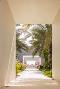 Concrete pathway with palm trees in a landscaped area.