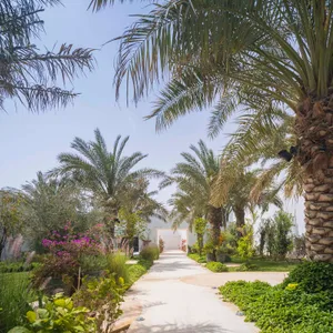 A pathway surrounded by palm trees and lush greenery leading to a white building.