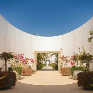 A minimalist residential entrance with concrete walls and potted plants, leading to a pathway lined with flowers and palm tre