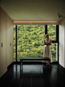 簡約室內空間，玻璃牆面眺望茂密森林景觀。