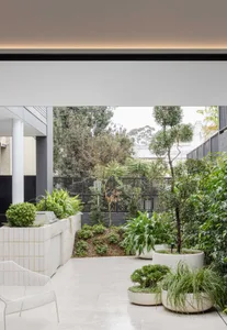 Modern residential garden featuring concrete elements and green potted plants.