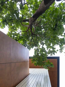 Modern building exterior with metal cladding and green foliage