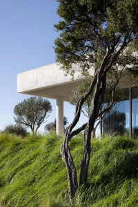 A modern house with a concrete overhang and a green landscaped area featuring tall grass and trees.