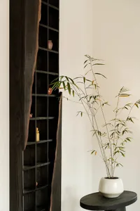 A minimalist living room featuring a tall, dark wood shelving unit with decorative objects and a potted plant.