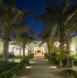 Concrete pathway leading to a modern entrance with palm trees on either side.
