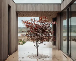 Modern interior design with wooden walls and flooring.