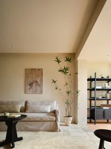 A modern, minimalist living room with a comfortable sofa, a sleek black coffee table, and a tall plant in a white pot.