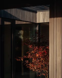 Modern residential building with wooden siding and a tree in front of it.