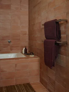 A bathroom shower area with terracotta tiles and wooden flooring.