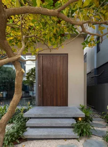 Modern entrance with wooden door and concrete steps surrounded by a garden.