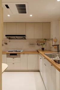 Modern, minimalist residential kitchen featuring wood and laminate surfaces.