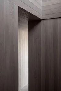 An elegant, minimalist interior space featuring dark wood paneling.