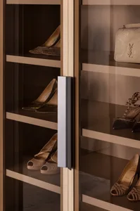 Shoes displayed on glass shelves of a modern shoe cabinet.
