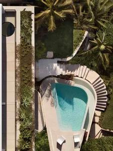 A modern concrete poolside with stairs and a palm tree.