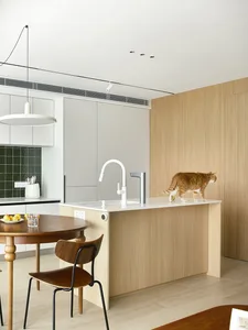 A modern minimalist kitchen with a white countertop, wooden cabinetry, and a cat walking on the island.