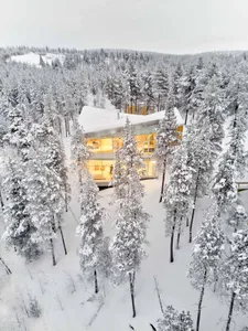 Modern house with large glass windows surrounded by snowy pine trees in a forest.