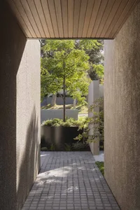 A pathway lined with plants and trees, constructed with concrete.