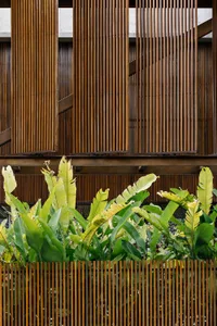 Modern architectural facade adorned with wooden panels and surrounded by lush greenery.