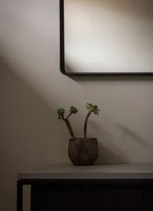 極簡風格的混凝土邊櫃，上面擺放一盆盆栽。