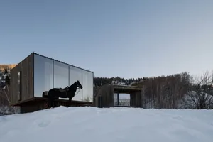 A black horse standing on a snowy ground in front of a modern wooden residential building.