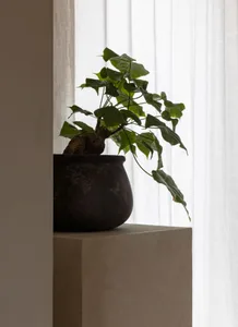 A ceramic pot with a plant sits on a cement plinth in an interior design space.