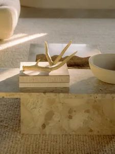 A textured terrazzo coffee table with a bone-like decorative piece