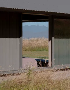 A modern building with a metal roof and wooden panels, seen through an open door, showing a view of tall grass and distant mo