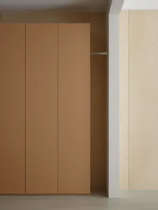 Minimalist closet with light-colored wood plywood interior, closed