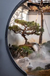 Modern stone bonsai tree rock garden with mist