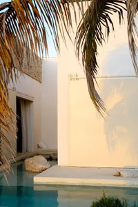 A minimalist patio area with concrete flooring and decorative stone accents, surrounded by palm fronds.