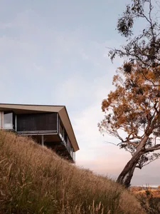 A modern house featuring metal and glass exteriors and wooden accents, set against a backdrop of tall grass and a solitary eu