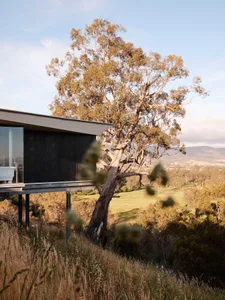 A modern residential exterior featuring wooden materials with a tree and grassy field in the background.